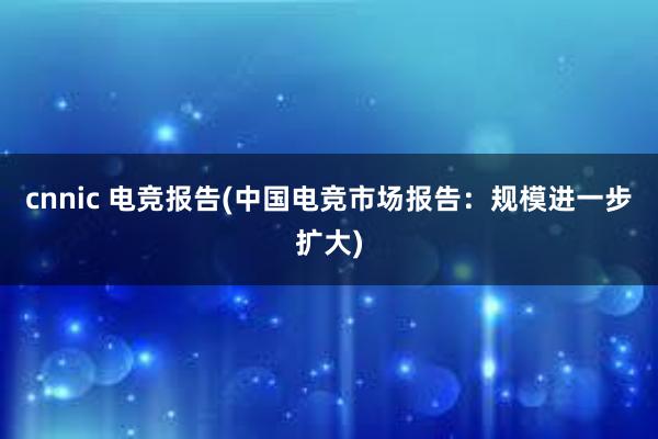 cnnic 电竞报告(中国电竞市场报告：规模进一步扩大)