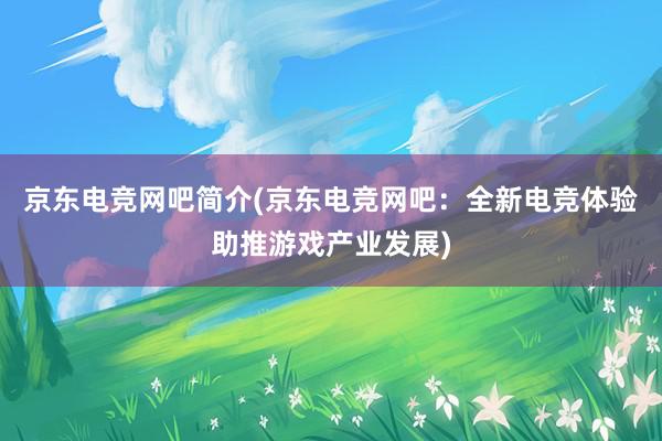 京东电竞网吧简介(京东电竞网吧：全新电竞体验助推游戏产业发展)