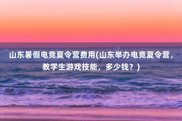 山东暑假电竞夏令营费用(山东举办电竞夏令营，教学生游戏技能，多少钱？)