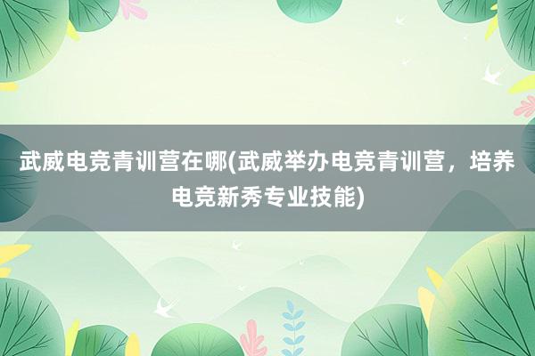 武威电竞青训营在哪(武威举办电竞青训营，培养电竞新秀专业技能)