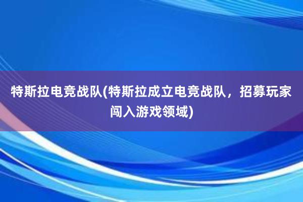 特斯拉电竞战队(特斯拉成立电竞战队，招募玩家闯入游戏领域)