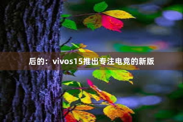 后的：vivos15推出专注电竞的新版