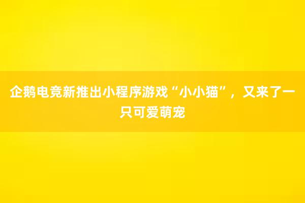 企鹅电竞新推出小程序游戏“小小猫”，又来了一只可爱萌宠