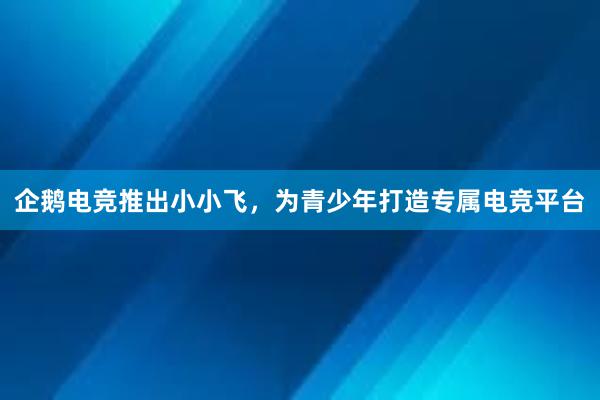 企鹅电竞推出小小飞，为青少年打造专属电竞平台