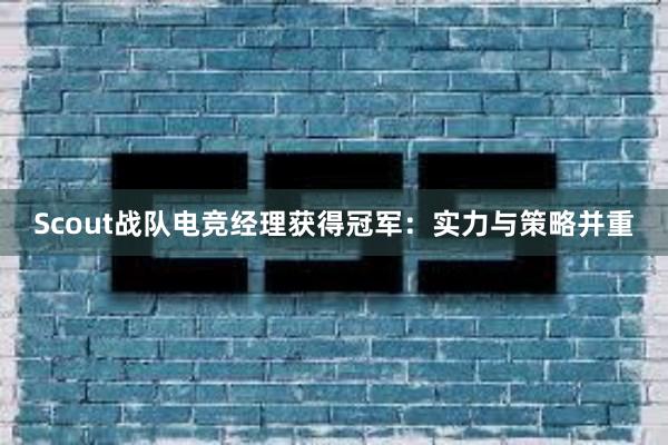 Scout战队电竞经理获得冠军：实力与策略并重