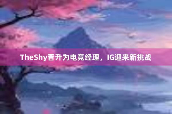 TheShy晋升为电竞经理，IG迎来新挑战