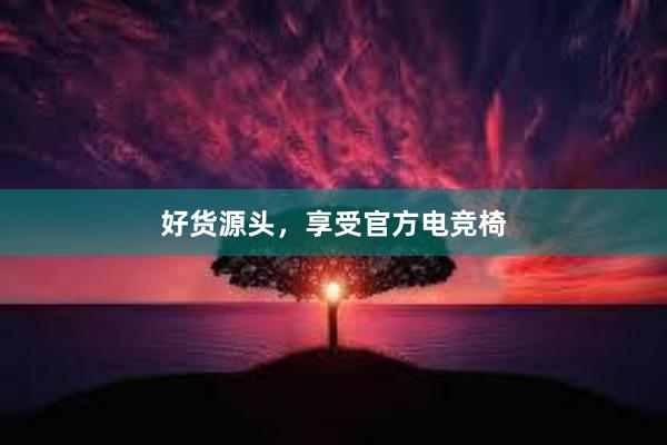 好货源头，享受官方电竞椅