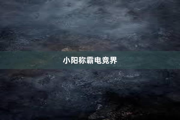 小阳称霸电竞界