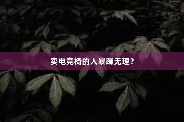 卖电竞椅的人暴躁无理？