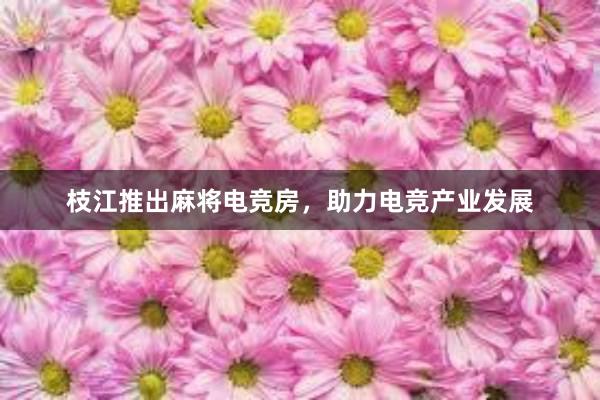 枝江推出麻将电竞房，助力电竞产业发展