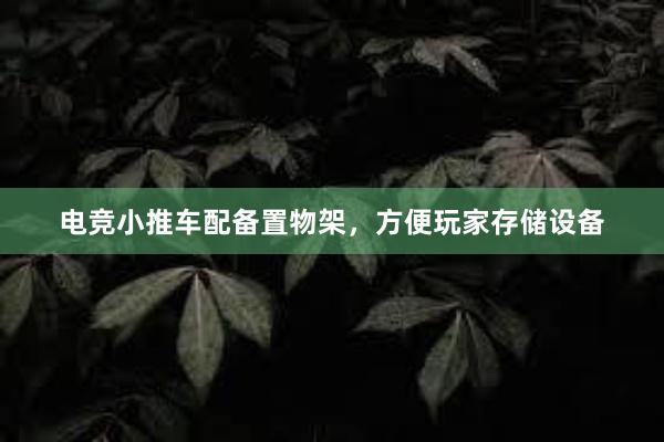 电竞小推车配备置物架，方便玩家存储设备