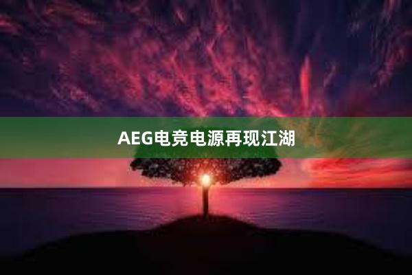 AEG电竞电源再现江湖